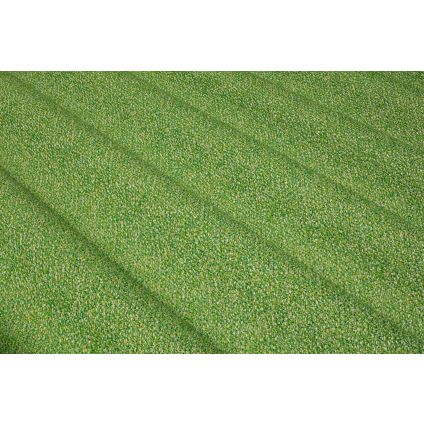 BAIN DE SOLEIL SUMMER COOL CLEAN FERN